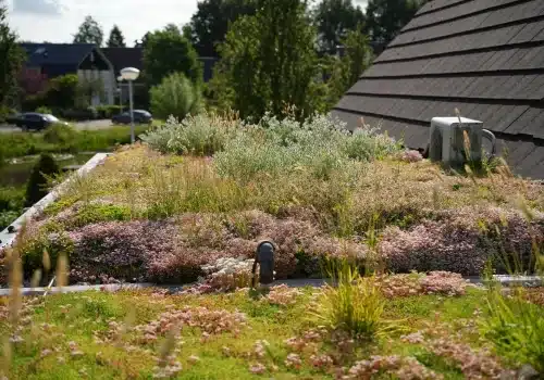 Een sedum dak schuin toepassen voor een duurzame en stijlvolle woning